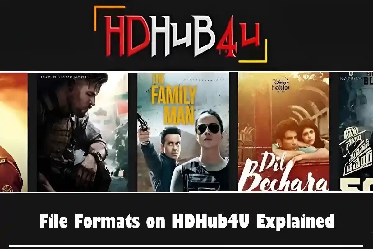 Different File Formats on HDHub4U Explained?